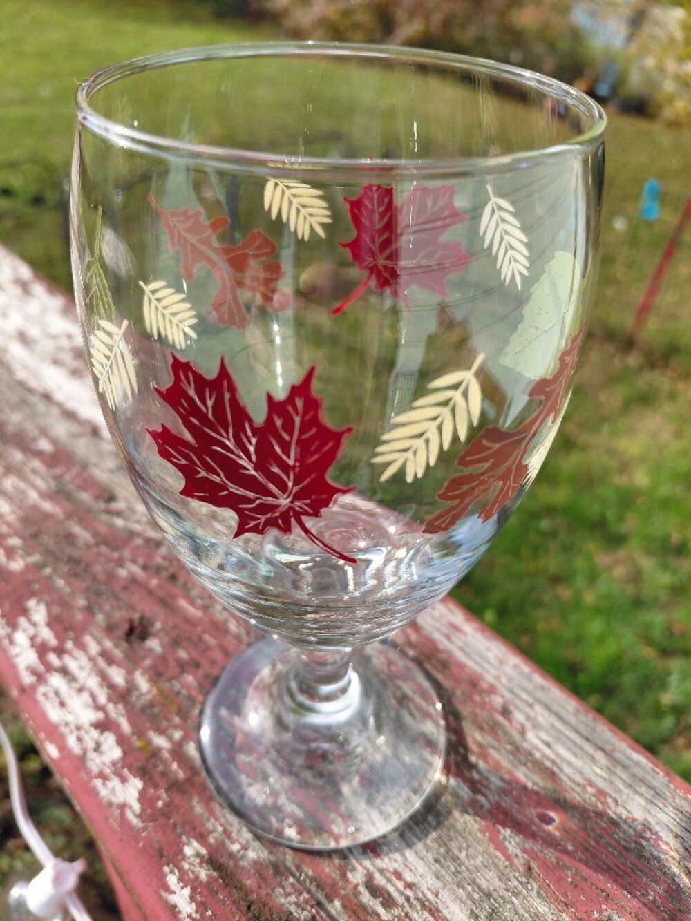 Fall Drinking Glass Goblet